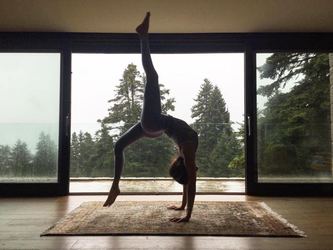 44616337_283645002323183_4114458658362566241_n